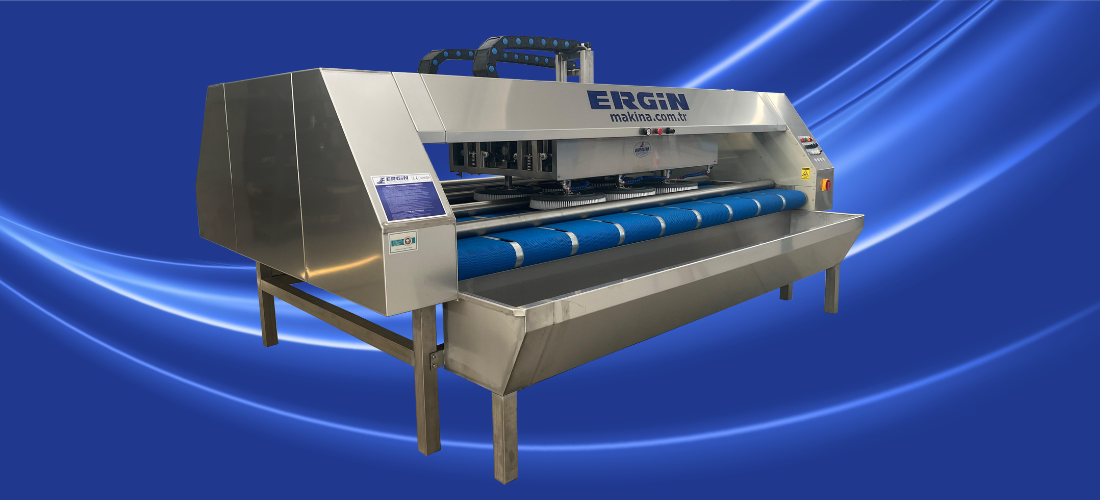 ER 4200 Carpet Washing Machine