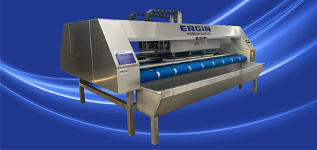 Machine à laver les tapis ER 4200